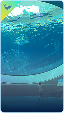 Ocean
Parks
